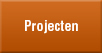 Projecten